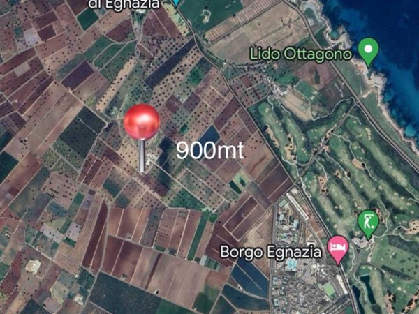 terreno agricolo in vendita a Fasano in zona Savelletri