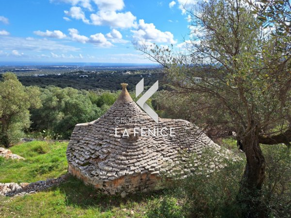 casa indipendente in vendita a Fasano