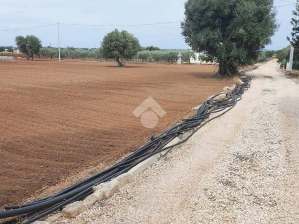 terreno agricolo in vendita a Fasano