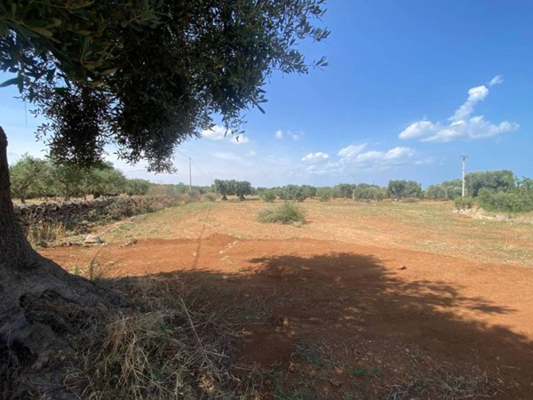 terreno agricolo in vendita a Fasano in zona Pezze di Greco