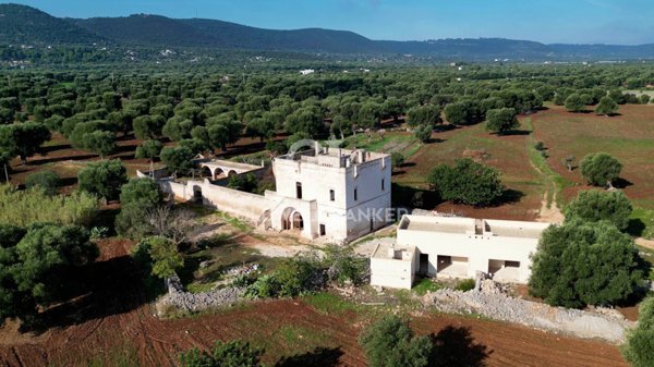 casa indipendente in vendita a Fasano in zona Savelletri