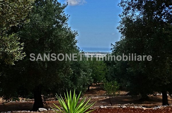 casa indipendente in vendita a Fasano