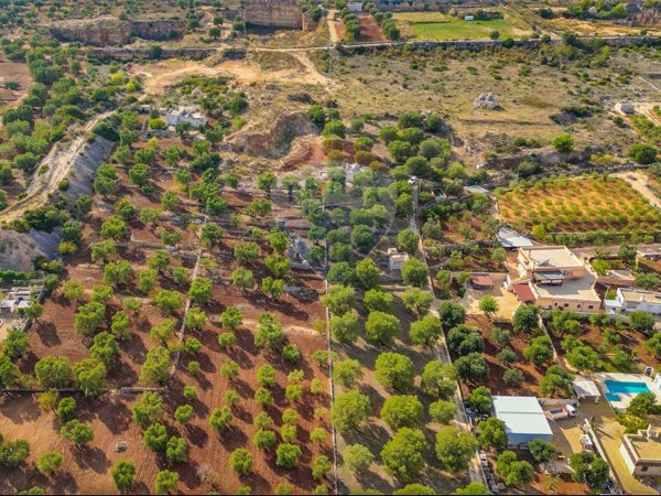 esavano in vendita a Fasano