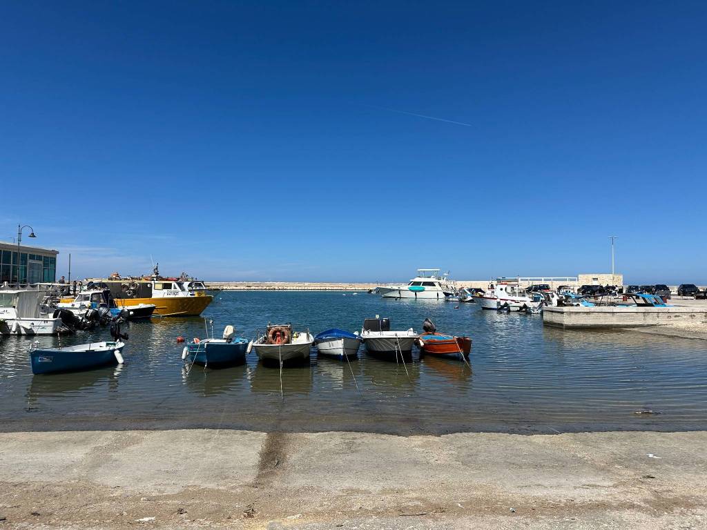 negozio in vendita a Fasano in zona Savelletri