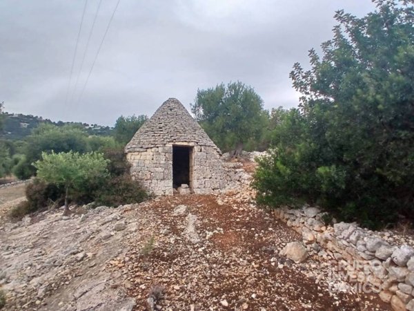 terreno agricolo in vendita a Fasano