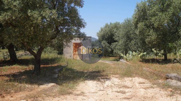 terreno agricolo in vendita a Fasano in zona Pezze di Greco