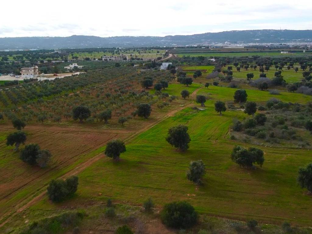 terreno agricolo in vendita a Fasano in zona Savelletri