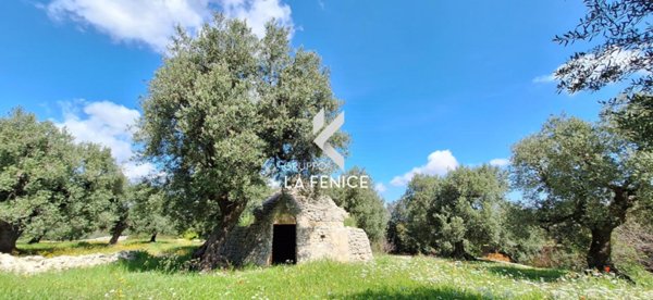 negozio in vendita a Fasano