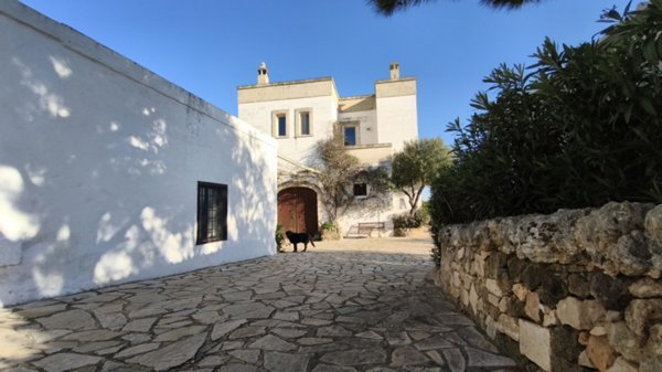 casa indipendente in vendita a Fasano in zona Savelletri