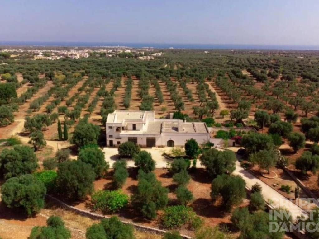 casa indipendente in vendita a Fasano in zona Montalbano