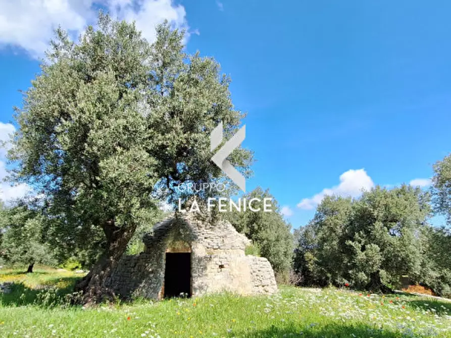 casa indipendente in vendita a Fasano