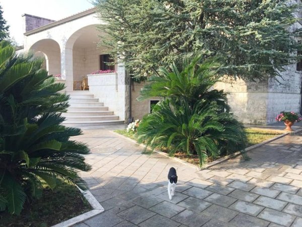 casa indipendente in vendita a Fasano in zona Laureto