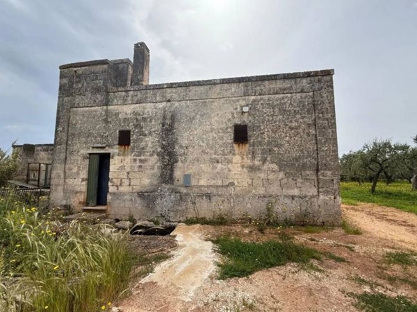 casa indipendente in vendita a Fasano in zona Savelletri