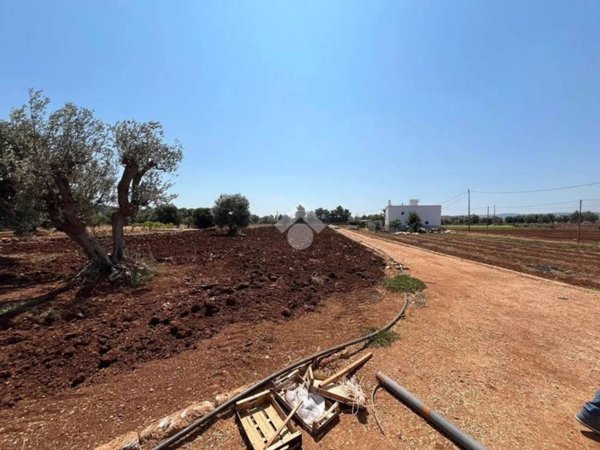 terreno agricolo in vendita a Fasano