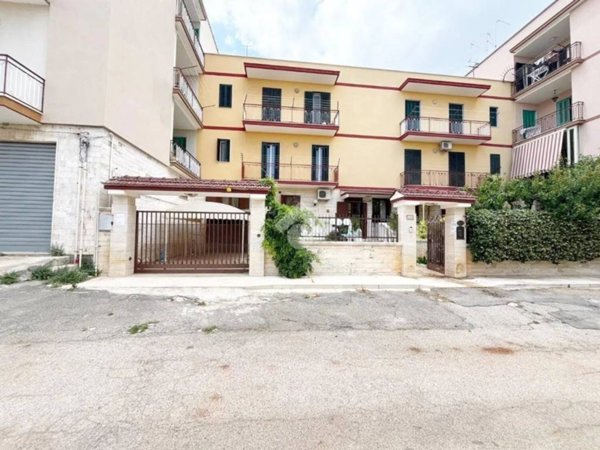 casa indipendente in vendita a Fasano