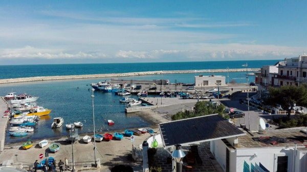 appartamento in vendita a Fasano in zona Savelletri