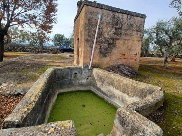 casa indipendente in vendita a Fasano in zona Savelletri