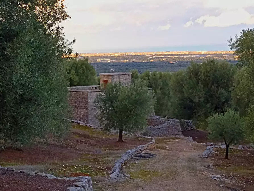 casa indipendente in vendita a Fasano