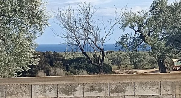 casa indipendente in vendita a Fasano