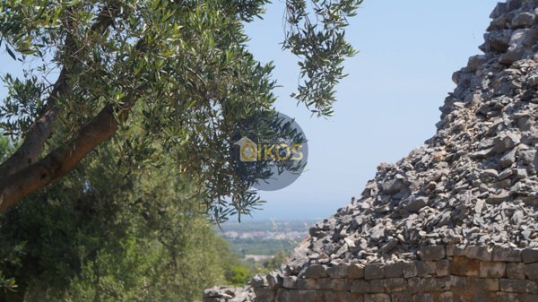 casa indipendente in vendita a Fasano in zona Pezze di Greco