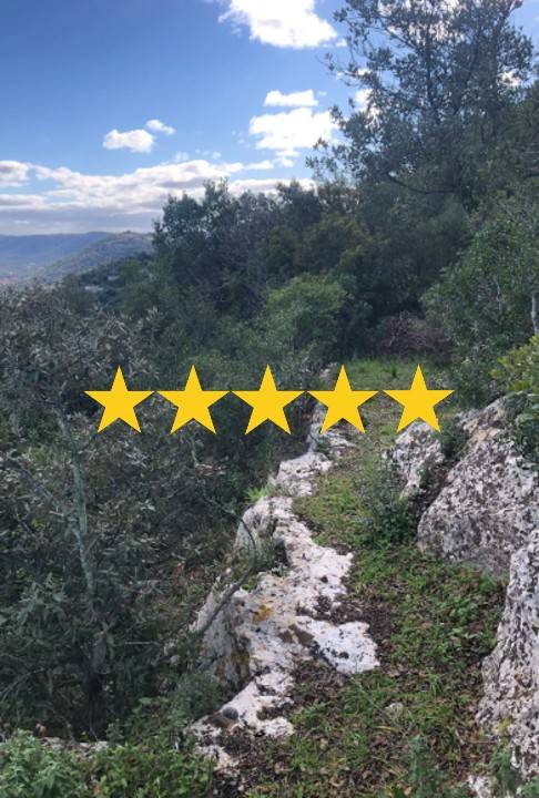 appartamento in vendita a Fasano