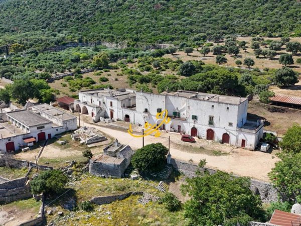 casa indipendente in vendita a Fasano