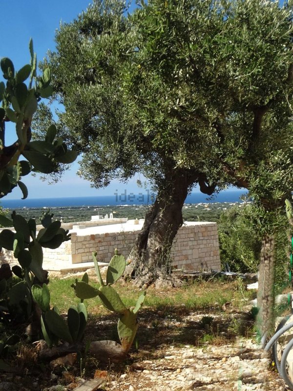 appartamento in vendita a Fasano in zona Savelletri