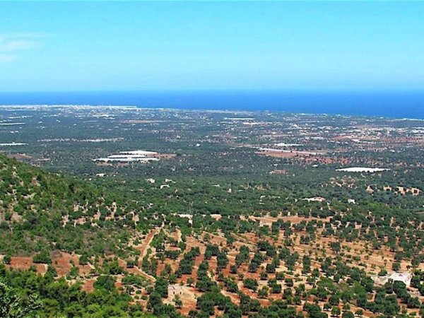 casa indipendente in vendita a Fasano in zona Laureto