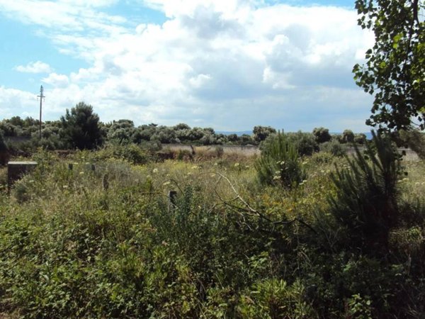 terreno agricolo in vendita a Fasano in zona Savelletri