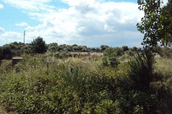 terreno agricolo in vendita a Fasano