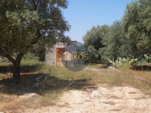 terreno agricolo in vendita a Fasano in zona Torre Canne