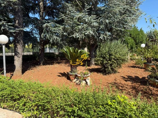 casa indipendente in vendita a Fasano in zona Laureto