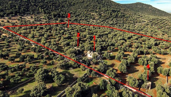 casa indipendente in vendita a Fasano