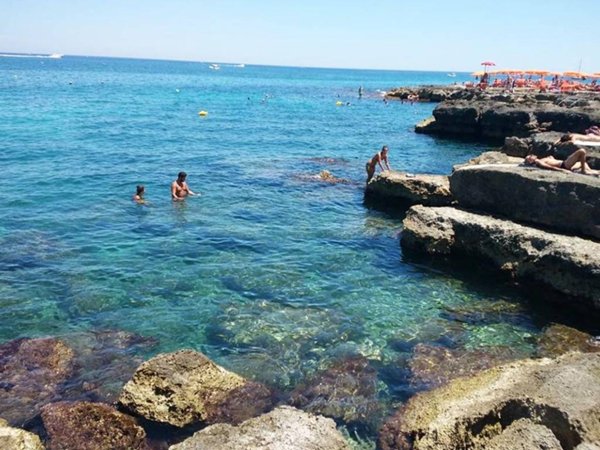 casa indipendente in vendita a Fasano in zona Savelletri
