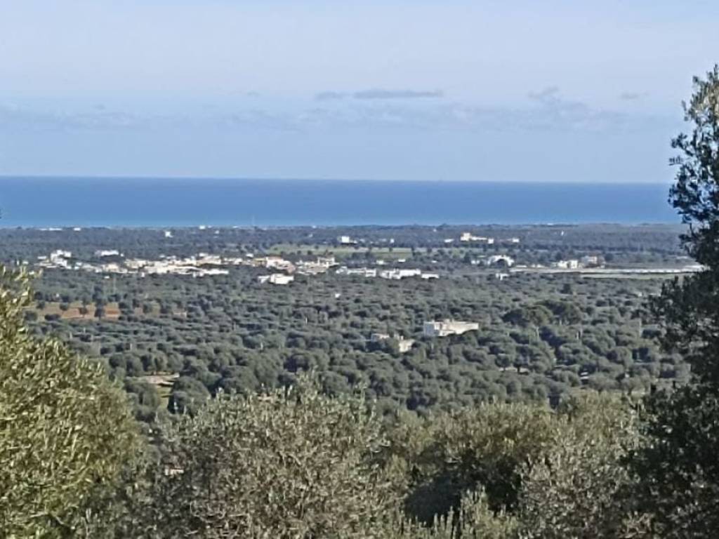terreno agricolo in vendita a Fasano in zona Pezze di Greco