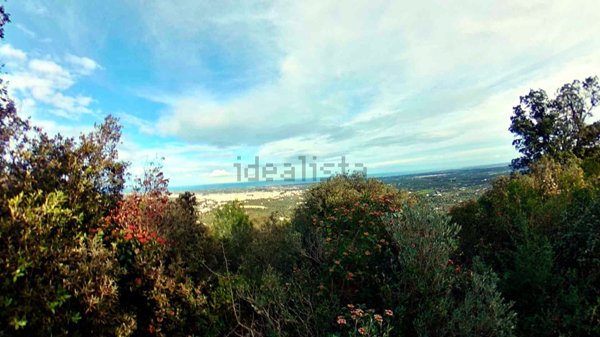 casa indipendente in vendita a Fasano
