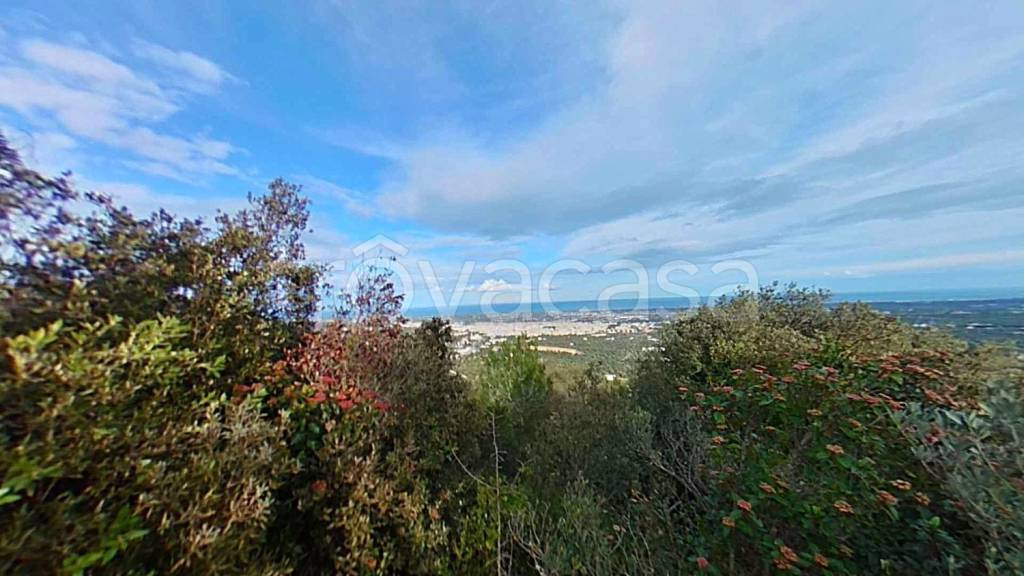 casa indipendente in vendita a Fasano