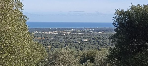 terreno agricolo in vendita a Fasano in zona Pezze di Greco