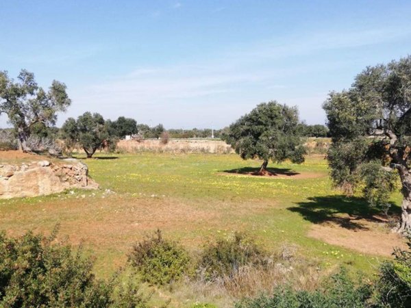 terreno in vendita a Fasano
