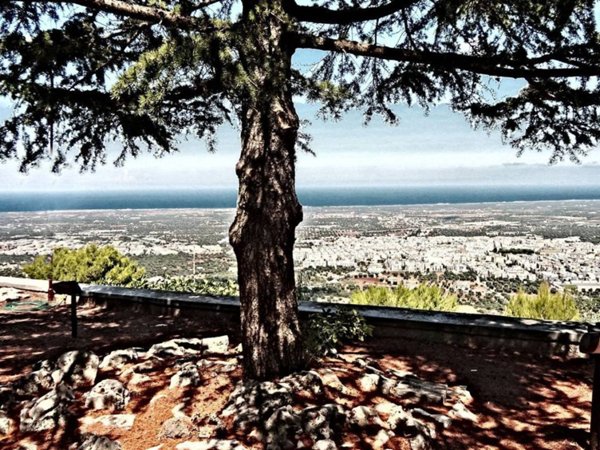 appartamento in vendita a Fasano in zona Laureto