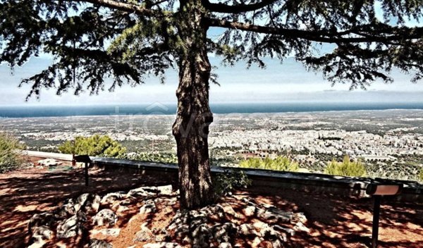 appartamento in vendita a Fasano