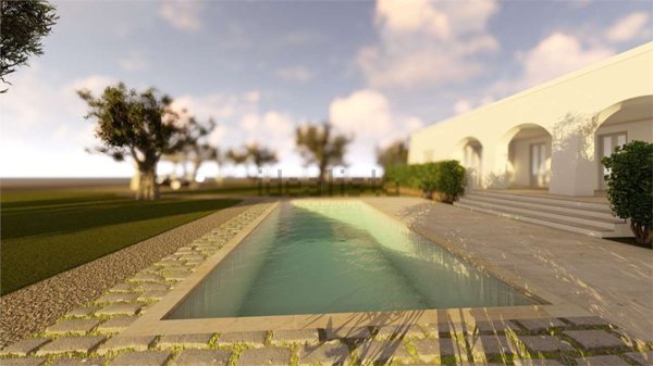 terreno agricolo in vendita a Fasano in zona Savelletri