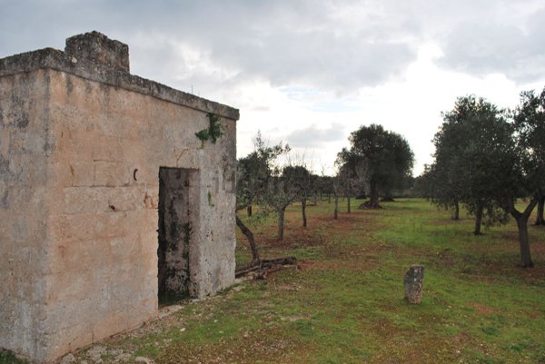 casa indipendente in vendita a Fasano in zona Torre Canne