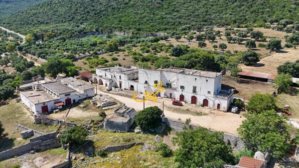 casa indipendente in vendita a Fasano in zona Pezze di Greco