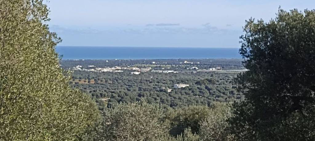 terreno agricolo in vendita a Fasano in zona Pezze di Greco