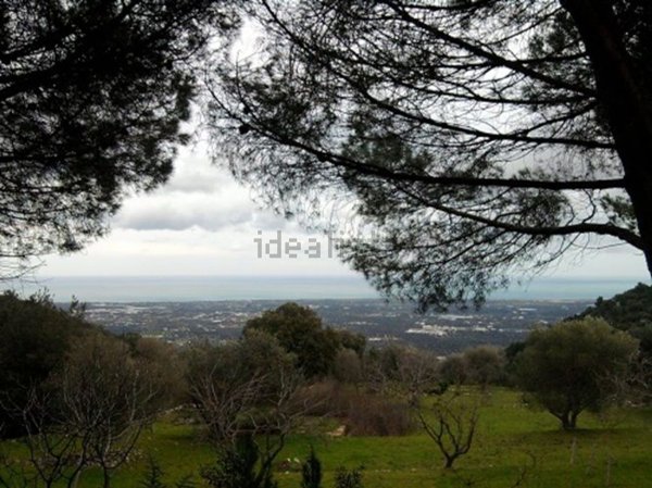 casa indipendente in vendita a Fasano