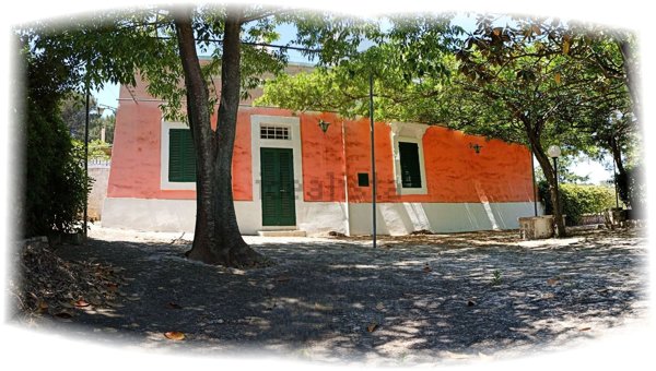 pentavano in vendita a Fasano in zona Laureto