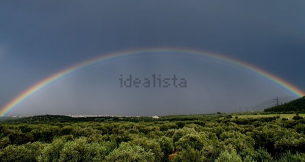 casa indipendente in vendita a Fasano