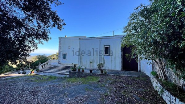 casa indipendente in vendita a Fasano