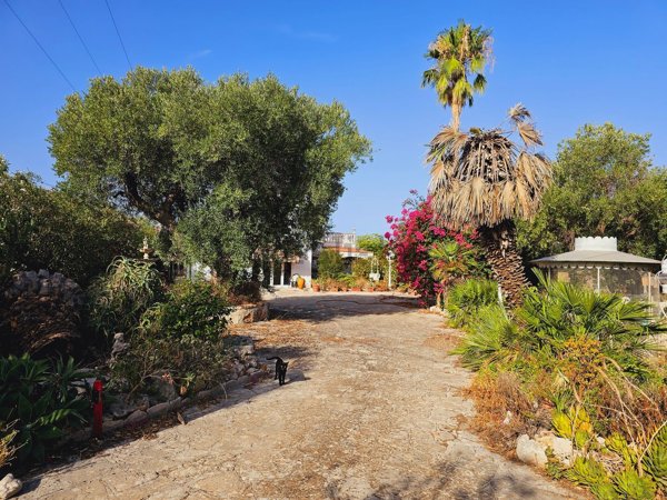 casa indipendente in vendita a Fasano